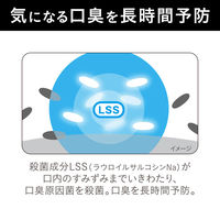 NONIO（ノニオ） プラスホワイトニング デンタルリンス フレッシュホワイトミント 1000mL ライオン マウスウォッシュ美白