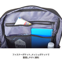 スワン ROTHCO イージス 2room ビジネスリュック 45089 ブラック 1個（直送品）