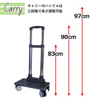 スワン SAXON cue 2way ショッピングキャリーバッグ 5245 茶/花 1個（直送品）