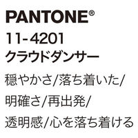 フォーク レディススクラブ クラウドダンサー L 7117SC-30-L 1枚（直送品）