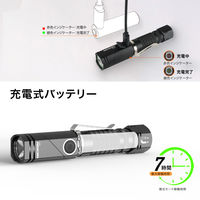 NICRON B74i 首振り 600LM 1個（直送品）