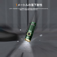 NICRON C1G ポケットライト グリーン 1200LM C1-G 1個（直送品）