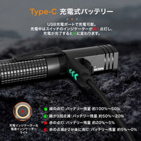 NICRON L74min Bi 首振り ブラック 400LM L74mini-B 1個（直送品）