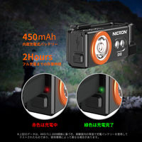 NICRON D10 ヘッドライト 500LM 1個（直送品）