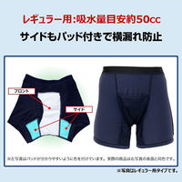 ファミリー・ライフ NEWさわやか安心ボクサーパンツ レギュラー用タイプ 2色組 同サイズ LL a3562004 1セット(2色入)（直送品）