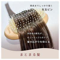 アヌシ Oval 獣毛ブラシAOJ-1000 82439 1個（直送品）