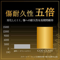 MSソリューションズ iPhone 17 Pro レンズ保護ガラスフィルム 高透過 約95% GG-IP25GGLEN95 1個（直送品）