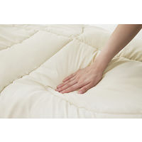 アイリスオーヤマ こだわりマットレス付き布団10点セット グレージュ KFSーKM10S 1セット