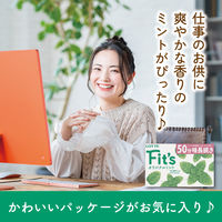ガム Fit's フィッツ オリジナルミント 12枚入 1セット（1個×5）
