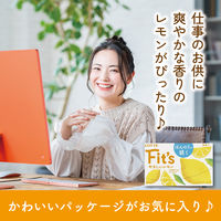 ガム Fit's フィッツ やさしいレモン 12枚入 1セット（1個×20）