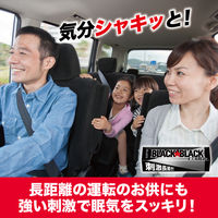 ガム ブラックガム 9枚入 1セット（1個×10）