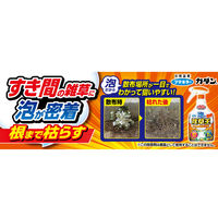 フマキラー 泡の除草王 1000ml 4902424453553 1本（直送品）
