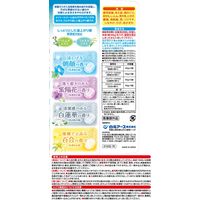 入浴剤 いい湯旅立ち 納涼にごり炭酸湯 花涼み 4種アソート 1セット（1箱（12錠入）×3） 白元アース