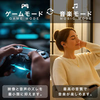 ディーエーピーネットワーク オープンイヤーイヤホン OWS 空気伝導 ワイヤレス monowa090-bk 1個（直送品）