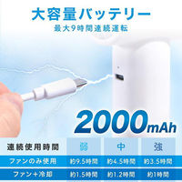 ディーエーピーネットワーク ハンディファン 冷却プレート ー12°C瞬間冷却 ホワイト wasser fan010 1個（直送品）