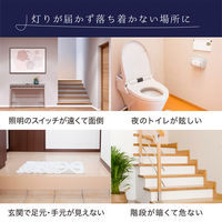 ディーエーピーネットワーク センサーライト 室内 人感センサー 足元灯(1個) wasser100_bk 1個（直送品）