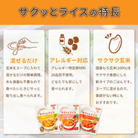 3種のサクッとライスセット 5年保存 非常食セット 野菜スープ 玄米 保存食 防災食 HOTPLUS あったかフードボックス PEACEUP（直送品）