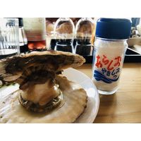 あらしお やきしお 瓶 50g 1セット（1個×3）  平釜製法 平釜塩 卓上 食卓 塩 焼塩