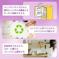 森永乳業 鉄分プラス 1日分の鉄分 プルーン＋グレープ 200ml 1箱（24本入）紙パック　 飲料 サプリメントドリンク