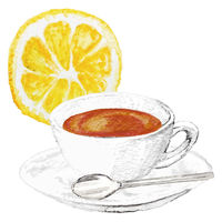 ファーバーカステル 色鉛筆C 48色セット TFCC-CP/48C 1個（直送品）