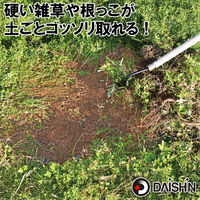 大進 草取りレーキ龍の爪 草刈り 草削り 道具 草取り 立ったまま DG-01R6 1本（直送品）