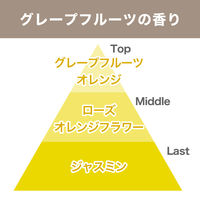 【復活特別価格】【アスクル限定】トイレの消臭剤　置き型　グレープフルーツ 10個 エステー　消臭芳香剤　 オリジナル