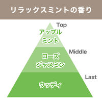 【復活特別価格】【アスクル限定】トイレの消臭剤　置き型　リラックスミント 10個 エステー　消臭芳香剤　 オリジナル