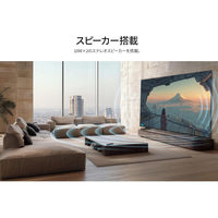 JAPANNEXT 100インチ ワイド4K液晶ディスプレイ 車上渡し製品 3年保証 JN-V100U-M-H3 1台（直送品）