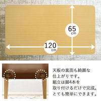 タマリビング ステディ センターテーブル 幅1200×奥行650×高さ380mm ブラウン 1台（直送品）