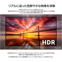 JAPANNEXT 21.5インチ 液晶ディスプレイ JN-215IPS120F-HSP 1台（直送品）