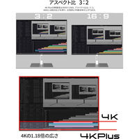 JAPANNEXT 28.2インチ 4K Plus液晶ディスプレイ JN-282IPS4KP-HSP 1台（直送品）