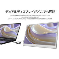 JAPANNEXT 15.6インチ ワイド モバイルディスプレイ JN-MD-IPS156F2-W 1台（直送品）