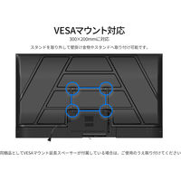 JAPANNEXT 60インチ ワイド 4K液晶ディスプレイ JN-V60U-M-H5 1台（直送品）