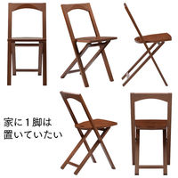 タマリビング ボーナス フォールディングチェア ボーナス ブラック 1セット（4脚入）（直送品）