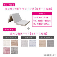 萩原 ピターら コットンパイル 敷きパッド+マットレスセット SD セミダブル 270610311 1枚（直送品）