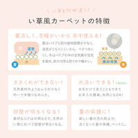 萩原 洗えるい草風カーペット モンド 江戸間8帖 81968880 1枚（直送品）