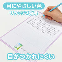 共栄プラスチック 軟質 下敷き 透明カラーのしっかりシタ字キ A4 グレープ TCS-A4-GR 1セット(1枚×2)（直送品）