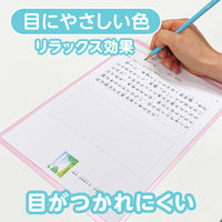 共栄プラスチック 軟質 下敷き 透明カラーのしっかりシタ字キ A4 さくらんぼ TCS-A4-CH 1セット(1枚×2)（直送品）