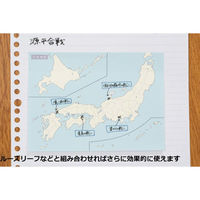 学研ステイフル QuizKnock クイズノック 地図付箋 世界 12枚×4柄入 黄 M06825 1セット(1個×2)（直送品）