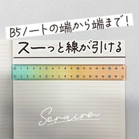 共栄プラスチック そら色じょうぎ 17cm SO-17-05 1本（直送品）