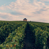 モエ・エ・シャンドン グラン ヴィンテージ  2016  750ml 箱付1本　ギフトカード　二重封筒／熨斗（御祝）（直送品）