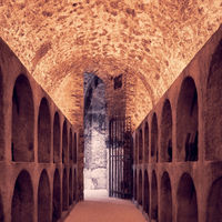 モエ・エ・シャンドン アンペリアル マグナム 1500ml (1本箱入り)　ギフトカード　スタンダード封筒／熨斗（御礼）（直送品）