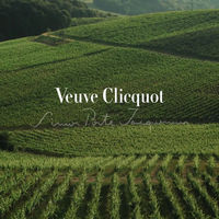 ヴーヴ クリコ リッチ オン アイス  750ml　1本　ギフトカード　二重封筒／熨斗（御礼）（直送品）