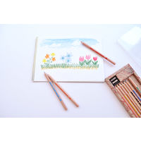 コクヨ おえかき色鉛筆 10色セット KE-AC8 1セット