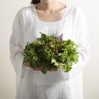 【手土産や贈り物に】 「ANA x Ortolano」 ファーストクラスのサラダセット ギフトカード　二重封筒　熨斗（御中元）（直送品）