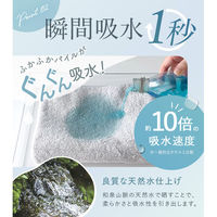 丸中 日本製 バスタオル ホテルスタイルタオル 2枚 シフォンピンク HSLs501W999043 1セット(2枚)（直送品）