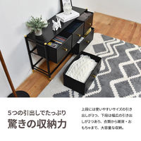 【軒先渡し】B.Bファニシング Tidying 収納チェスト 幅1000×奥行315×高さ580mm ブラック 1台（直送品）