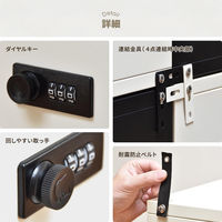 【軒先渡し】B.Bファニシング ロック付き収納 レクタンボックスM 幅300×奥行360×高さ600mm ベージュ 1台（直送品）