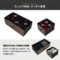 【軒先渡し】B.Bファニシング TURN ターン ハンガーラック 幅590×奥行300×高さ1740mm ダークブラウン 1台（直送品）