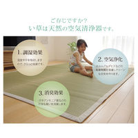 イケヒコ MUKU い草ラグ 1910×1910mm 麻 1051190333604 1枚（直送品）